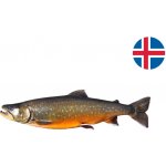 Boxxi Siven arktický kousky s kůží 200 g – Zboží Dáma