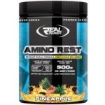 Real Pharm AminoRest 500 g – Zboží Mobilmania