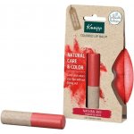 Kneipp Barevný balzám na rty Natural Red 3,5 g – Zboží Mobilmania