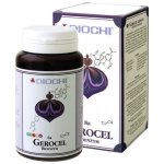 Diochi Gerocel Bioenzym 90 kapslí – Hledejceny.cz