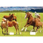 Reas Pack Sešit 540 A5 nelinkovaný 40l 3D MIX – Hledejceny.cz