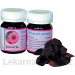 PM propolis echnacea 50 tablet – Hledejceny.cz