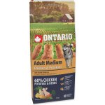 Ontario Adult Medium Chicken & Potatoes 12 kg – Hledejceny.cz