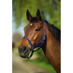 Riding World Ohlávka nylonová červená – Hledejceny.cz