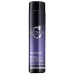 Tigi Catwalk Fashionista Violet Shampoo 750 ml – Hledejceny.cz