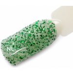 NL nails professional GLITTER LIMITED COLLECTION – Hledejceny.cz