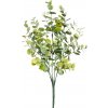 Květina Blahovičník - Eukalyptus keř zelená (x25) v34 cm (FB108383800)