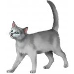 Samolepka (na auto, notebook) Kočka - barevná (10) – Zboží Živě