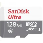 Sandisk MicroSDXC UHS-I 256 GB SDSQUNR-256G-GN3MN – Zbozi.Blesk.cz
