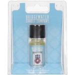 Bridgewater Candle Company Vonný olej WELCOME HOME 10ml – Hledejceny.cz