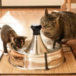 PetSafe 360 fontánka 3,8 l – Zboží Dáma