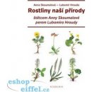 Rostliny naší přírody - Anna Skoumalová-Hadačová