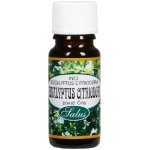 Saloos esenciální olej Eukalyptus Citriodora 20 ml – Hledejceny.cz