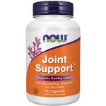 Now Joint Support 90 kapslí – Hledejceny.cz
