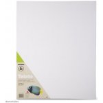 Primo kartonové plátno 40 x 50cm, 100% bavlna – Sleviste.cz