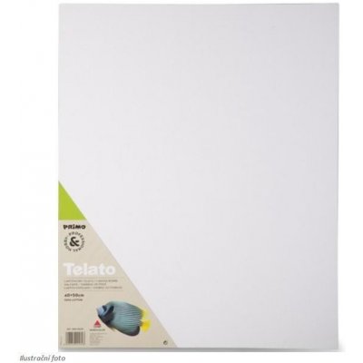 Primo kartonové plátno 40 x 50cm, 100% bavlna – Sleviste.cz