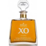 Kleiner Apricot XO 7y 43% 0,7 l (holá láhev) – Zboží Dáma