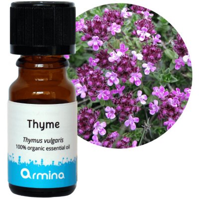 Armina éterický olej Tymián linalool 5 ml – Hledejceny.cz