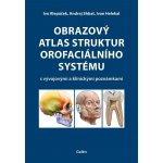 Obrazový atlas struktur orofaciálního systému s vývojovými a klinickými poznámkami – Sleviste.cz