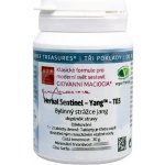 Givanni Maciocia T04 Bylinný strážce Jin Herbal Sentinel Yin 60 tablet – Hledejceny.cz