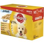 Pedigree Junior kuřecí 12 x 100 g – Sleviste.cz