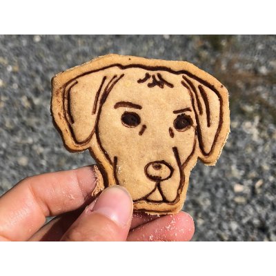 TVOŘÍTKO Rhodéský ridgeback IV - vykrajovátko – Hledejceny.cz