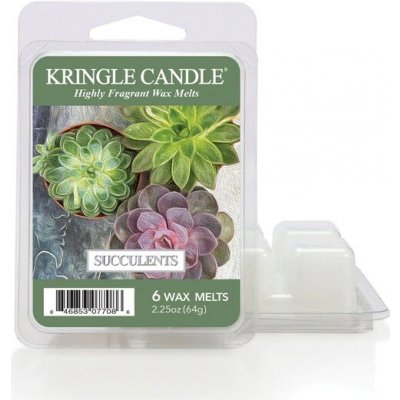 Kringle Candle Succulents Vonný Vosk 64 g – Hledejceny.cz