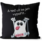 Impar Polštář Vypařit se do důchodu 40x40 – Zbozi.Blesk.cz