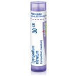 MAGNESIA CARBONICA POR 15CH GRA 4G – Hledejceny.cz