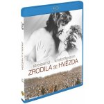 zrodila se hvězda BD – Hledejceny.cz