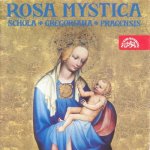 Petrus Wilhelmi de Grudencz - Rosa mystica. Mariánská úcta ve středověkých Čechách – Hledejceny.cz