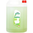 Real green clean toalety 5 kg