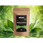 Botanic Mimosa pudica 20 g – Hledejceny.cz