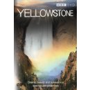 Yellowstone DVD