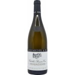Louis Michel а Fils Chablis Premier Cru Montee de Tonnerre 2022 Bílé 13% 0,75 l (holá láhev) – Hledejceny.cz