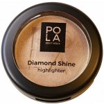 Pola Cosmetics Rozjasňovač Diamond Shine 5,8 g – Zboží Dáma