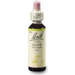 Bachovy květové esence kapky Olive Oliva 20 ml – Hledejceny.cz