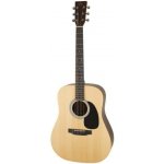 Sigma Guitars DT-STE – Zboží Mobilmania