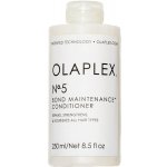 Olaplex No. 5 Fine Bond Maintenance Conditioner Lehký výživný kondicionér 250 ml – Zboží Mobilmania
