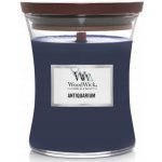 WoodWick Antiquarium 275 g – Zbozi.Blesk.cz
