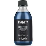 Dandy Hair Ice Lotion Posilující a osvěžující tonikum 250 ml – Hledejceny.cz