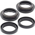 ALL BALLS sada olejových a prachových těsnění KTM SX50 06-11 – Hledejceny.cz