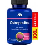 GS Ostropestřec 365 tablet – Hledejceny.cz