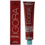 Schwarzkopf Igora Royal 6-0 Colorists's Color Creme 60 ml – Zboží Dáma