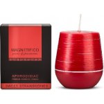 Magnetifico Aphrodisiac candle SweetStrawbber 200 g – Hledejceny.cz