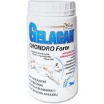 Gelacan Chondro Forte plv 500 g – Hledejceny.cz