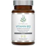 Cytoplan Vitamin B12, 1000 µg metyl+adenosylkobalamin 60 tablet – Hledejceny.cz