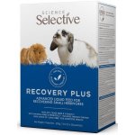 Science Selective Recovery Plus 10 x 20 g – Zboží Mobilmania