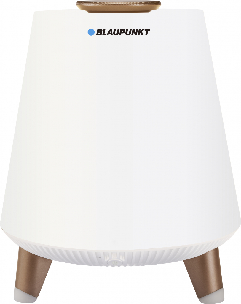 Blaupunkt BT25