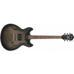 Ibanez AS 53 – Hledejceny.cz